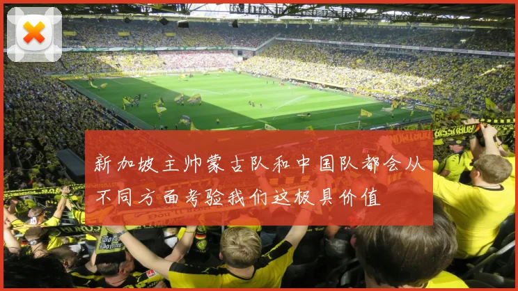 新加坡主帅蒙古队和中国队都会从不同方面考验我们这极具价值